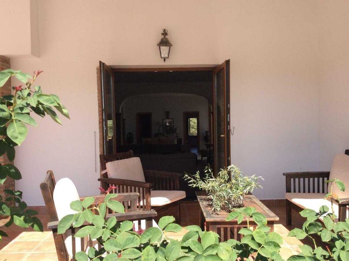 Santa Marta Complejo Rural Con Pista De Padel Guest House Archidona Exterior photo