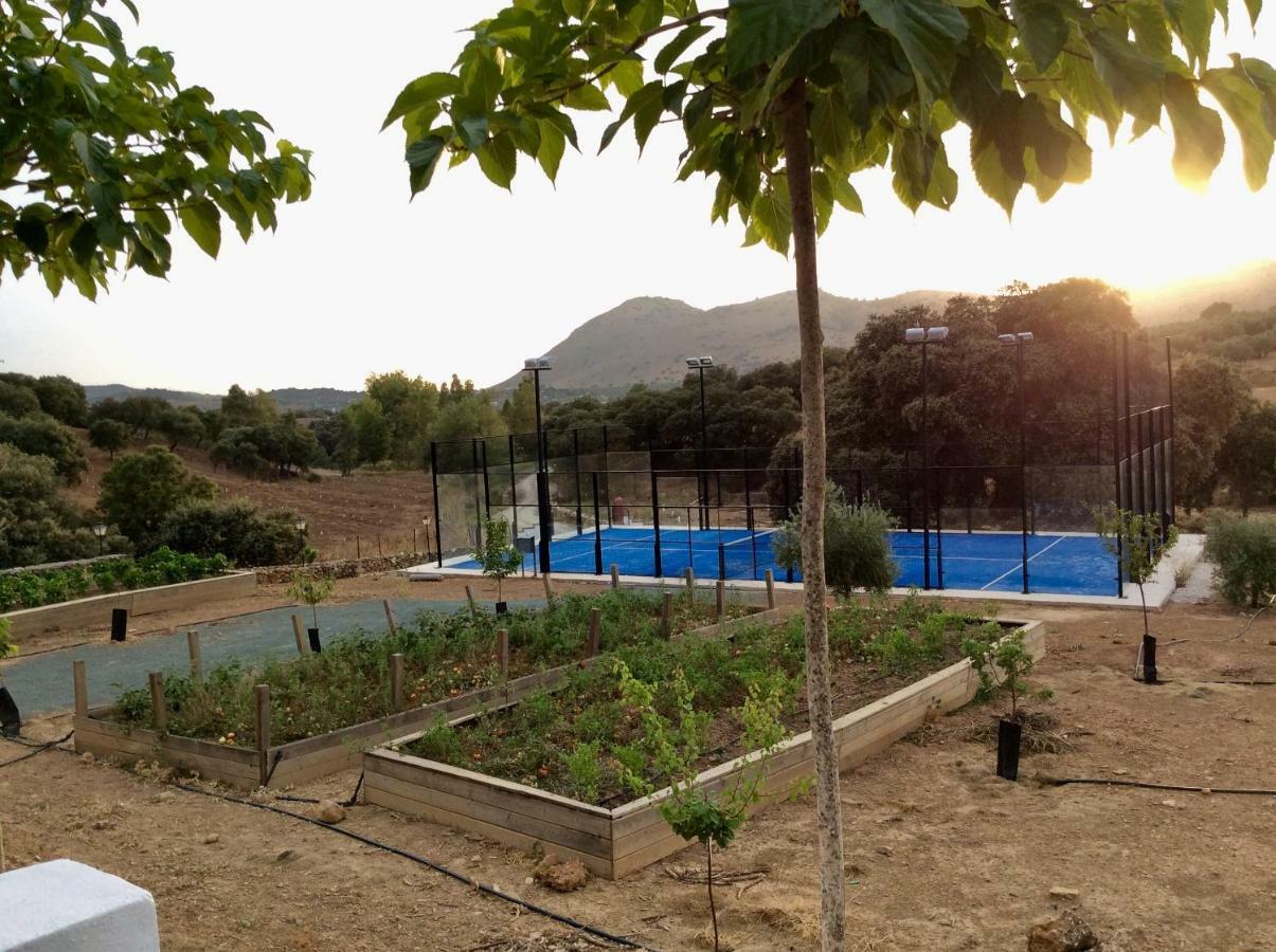 Santa Marta Complejo Rural Con Pista De Padel Guest House Archidona Exterior photo